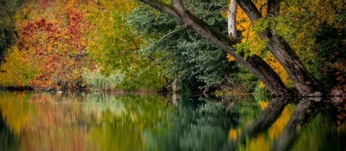 lago